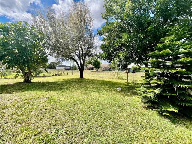 Fenced backyard.
