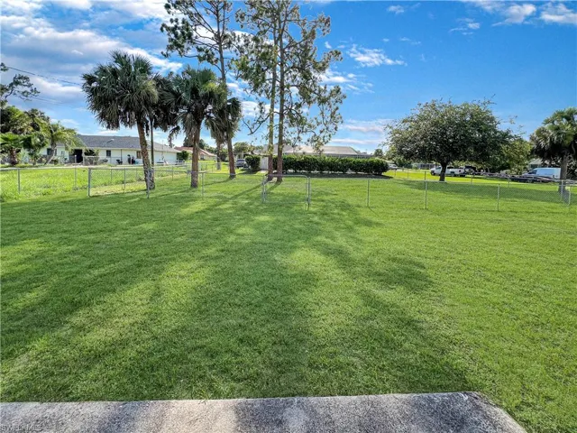 View of yard