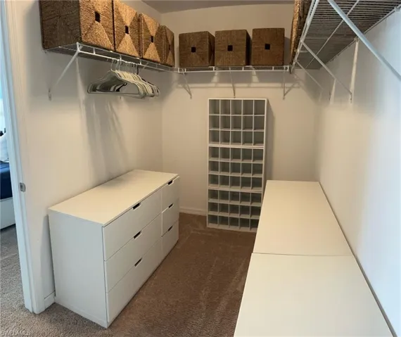 Spacious closet with carpet floors