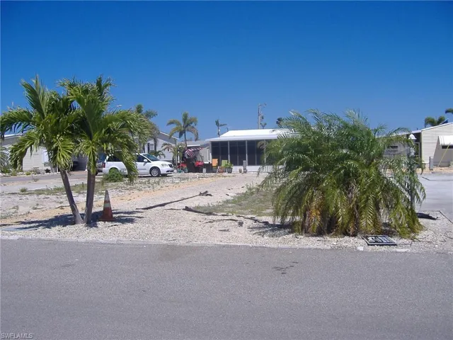 With Palms