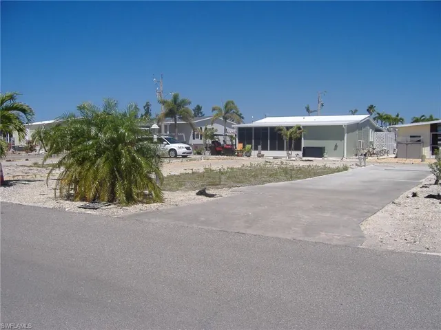 Lot & driveway with Christmas palm trees