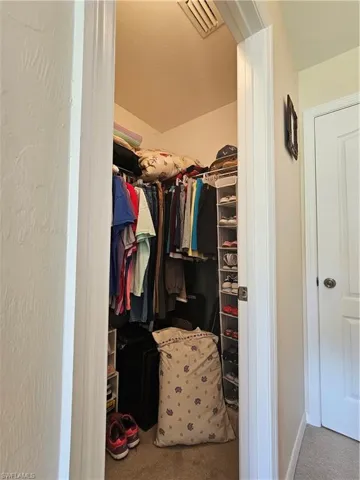 Spacious closet featuring carpet floors