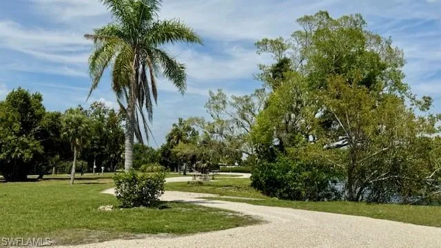 Palm Point