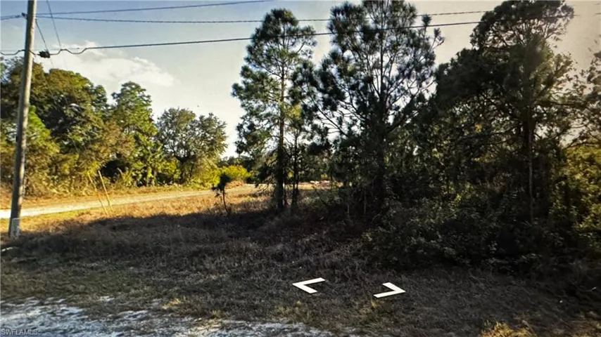 View of local wilderness