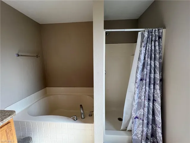 Bathroom with separate shower and tub and vanity
