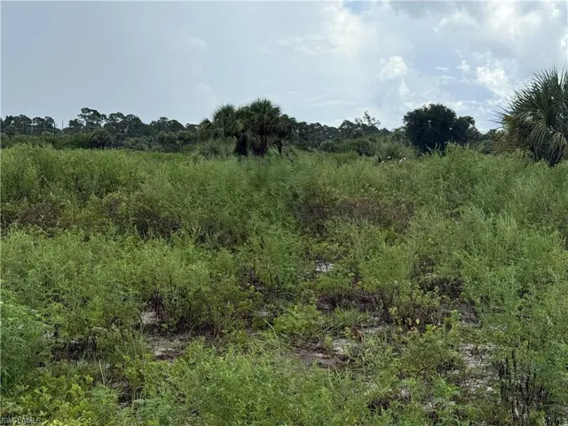 124  Ardmore  CIR, Labelle, FL 33935