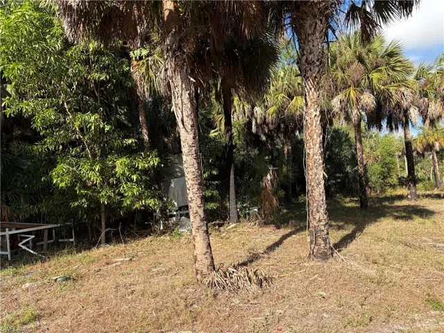 2185 Markley Ave, Naples, Florida 34117