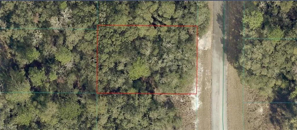 Survey Map. Overhead view of the property boundary and its surroundings