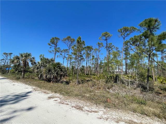 South side of property