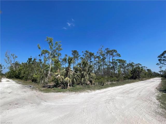 SW corner of property (Martinique & Pine)