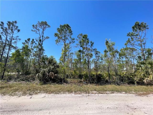 East side of property