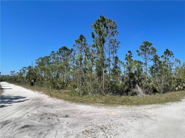 SE corner of property (Bimini & Pine)