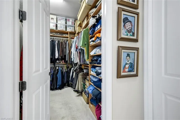 Spacious closet featuring light carpet