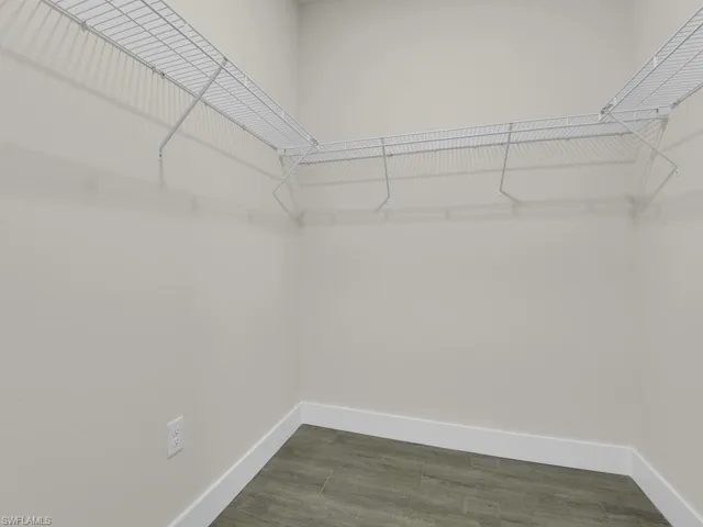 Spacious closet featuring dark wood-type flooring