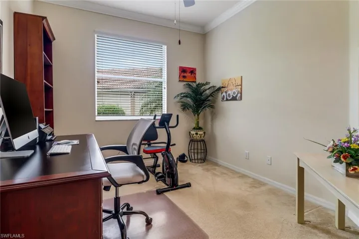 Office space with ornamental molding, carpet, and a ceiling fan