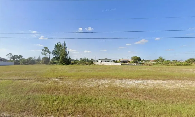 Expansive, undeveloped lot with natural vegetation
