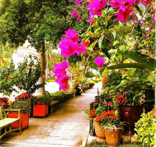 The flora is so vibrant!