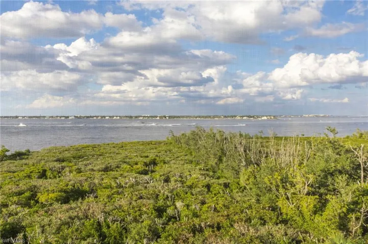 Mangrove nature's flood protection