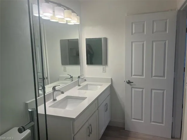 Bathroom with double vanity and dark wood-style flooring