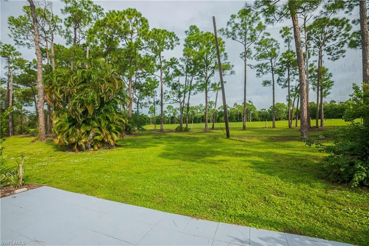 Expansive green lawn framed by mature trees, featuring a large tropical shrub and a paved patio area