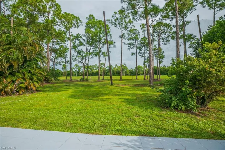 Expansive grounds featuring a manicured lawn with mature pine trees and lush landscaping, offering abundant outdoor space and natural shade throughout the property