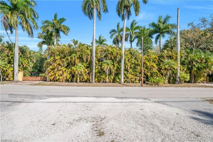 Lush tropical landscaping, mature palm trees, dense shrubbery, and a decorative gate