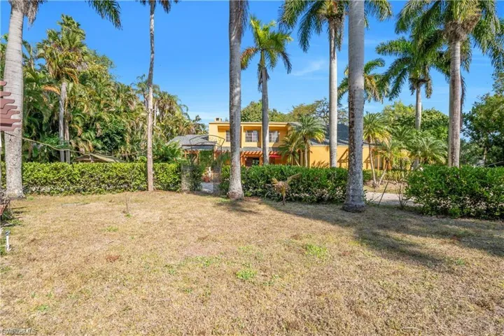 Lush tropical landscaping with mature palm trees and manicured hedges