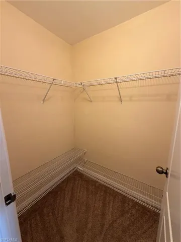 Built-in wire shelving, wall-mounted wire shelving, and textured carpeting