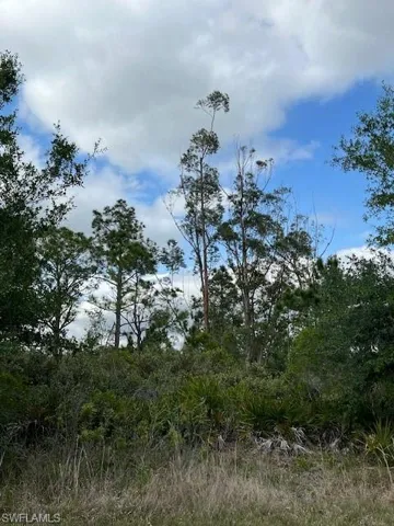 View of landscape