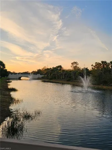 Another spectacular view from a bridge with a view of another Bridge across the way within the community