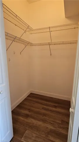 Walk in closet in Master Bedroom