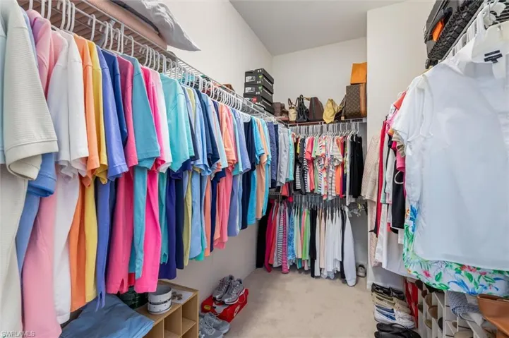 Spacious closet featuring light carpet