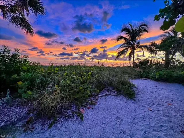 View of nature at dusk