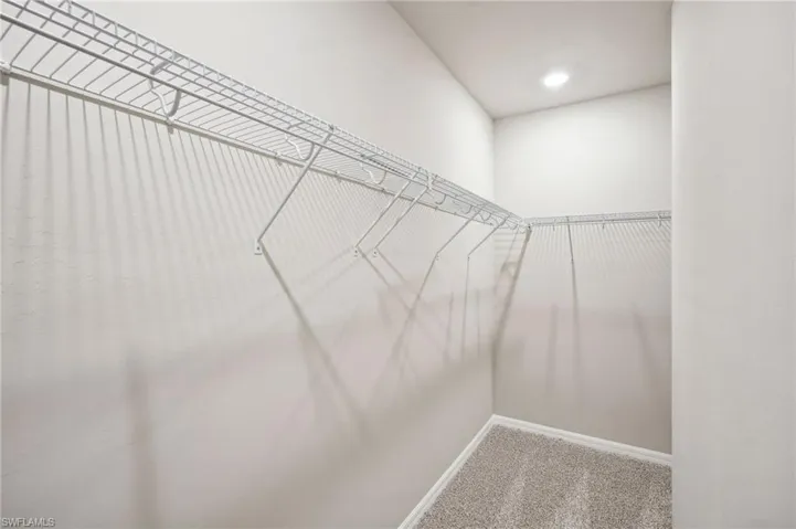 Spacious closet with carpet floors