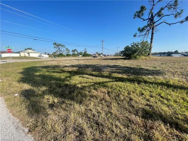 2325 Nw 25th Ln, Cape Coral Fl 33993