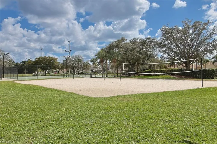 Volleyball