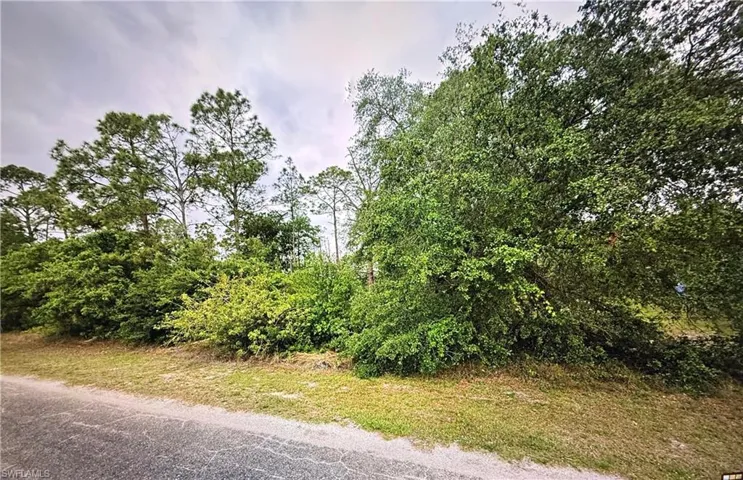 View of undeveloped land