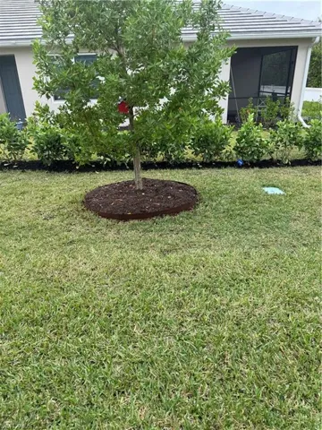 newly added privacy hedge