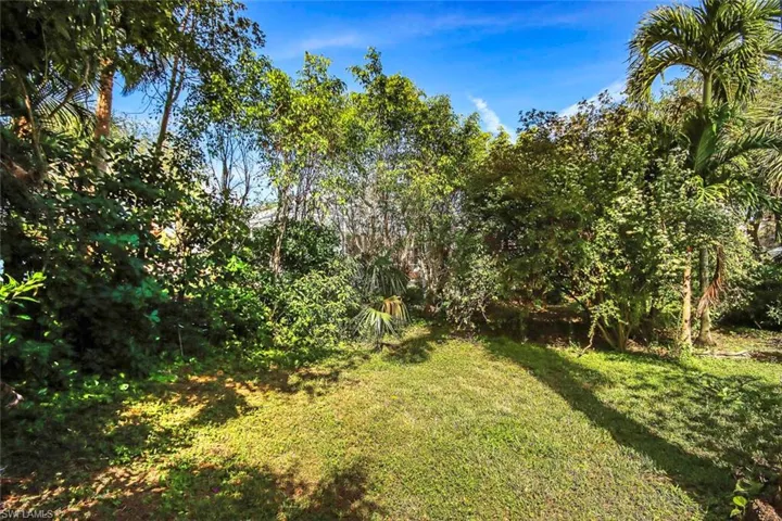 Lush_Back_Yard