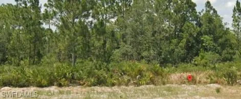 3011 W Dixon Rd, Avon Park, Florida 33825