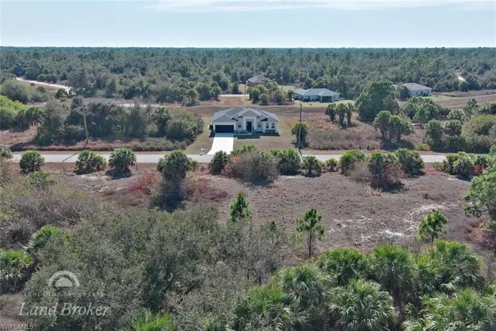 Bird's eye view of a forest