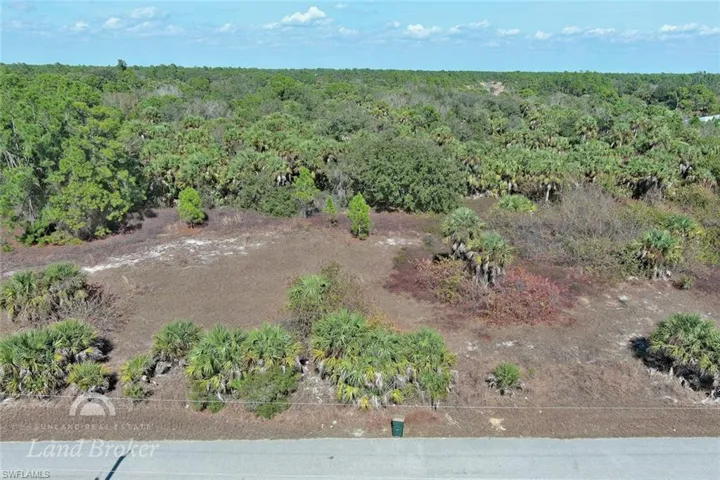 Bird's eye view of a heavily wooded area