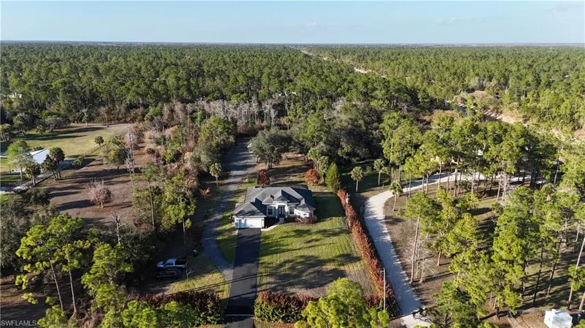 Bird's eye view of a forest