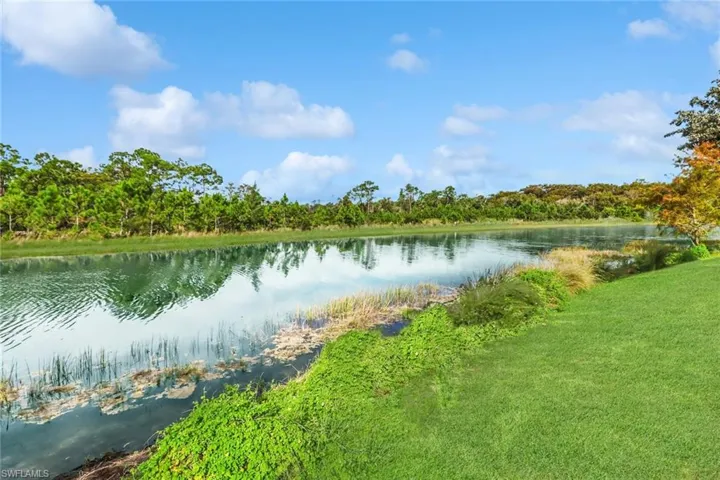 Water view