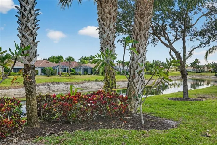 Landscaped Back Yard