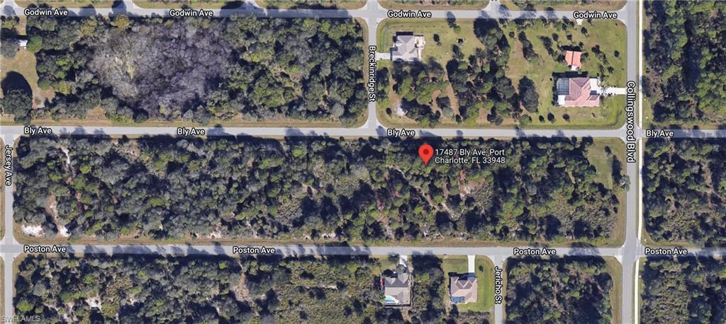 17487 Bly AVE, PORT CHARLOTTE FL 33948