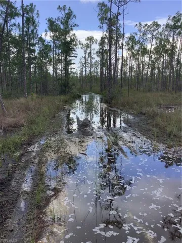 ACCESS UNDETERMINED  , Cape Coral, FL 33993