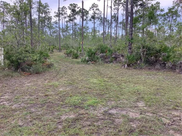 ACCESS UNDETERMINED  , Cape Coral, FL 33993