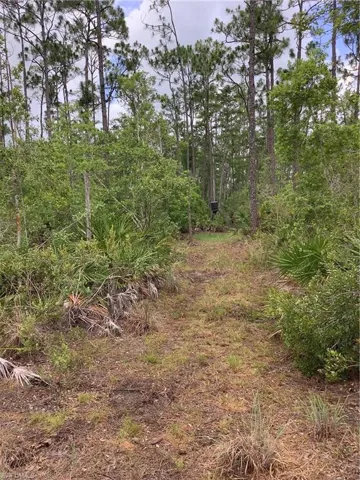 ACCESS UNDETERMINED  , Cape Coral, FL 33993