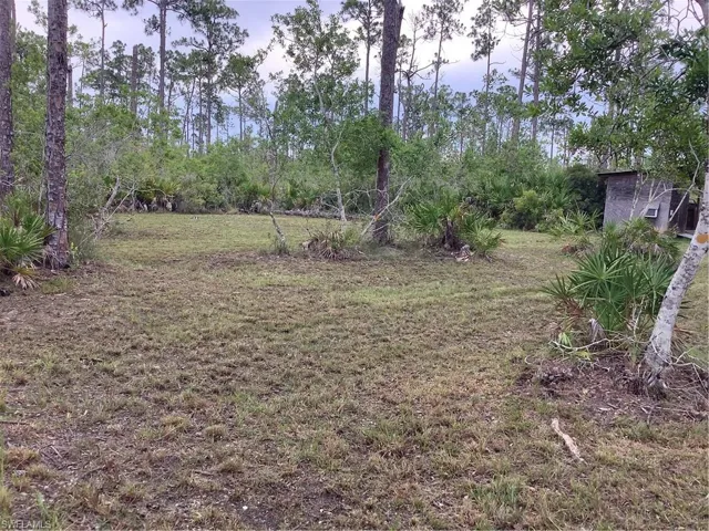 ACCESS UNDETERMINED  , Cape Coral, FL 33993